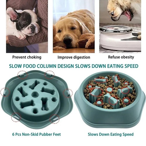Slow feeder dog - slow,